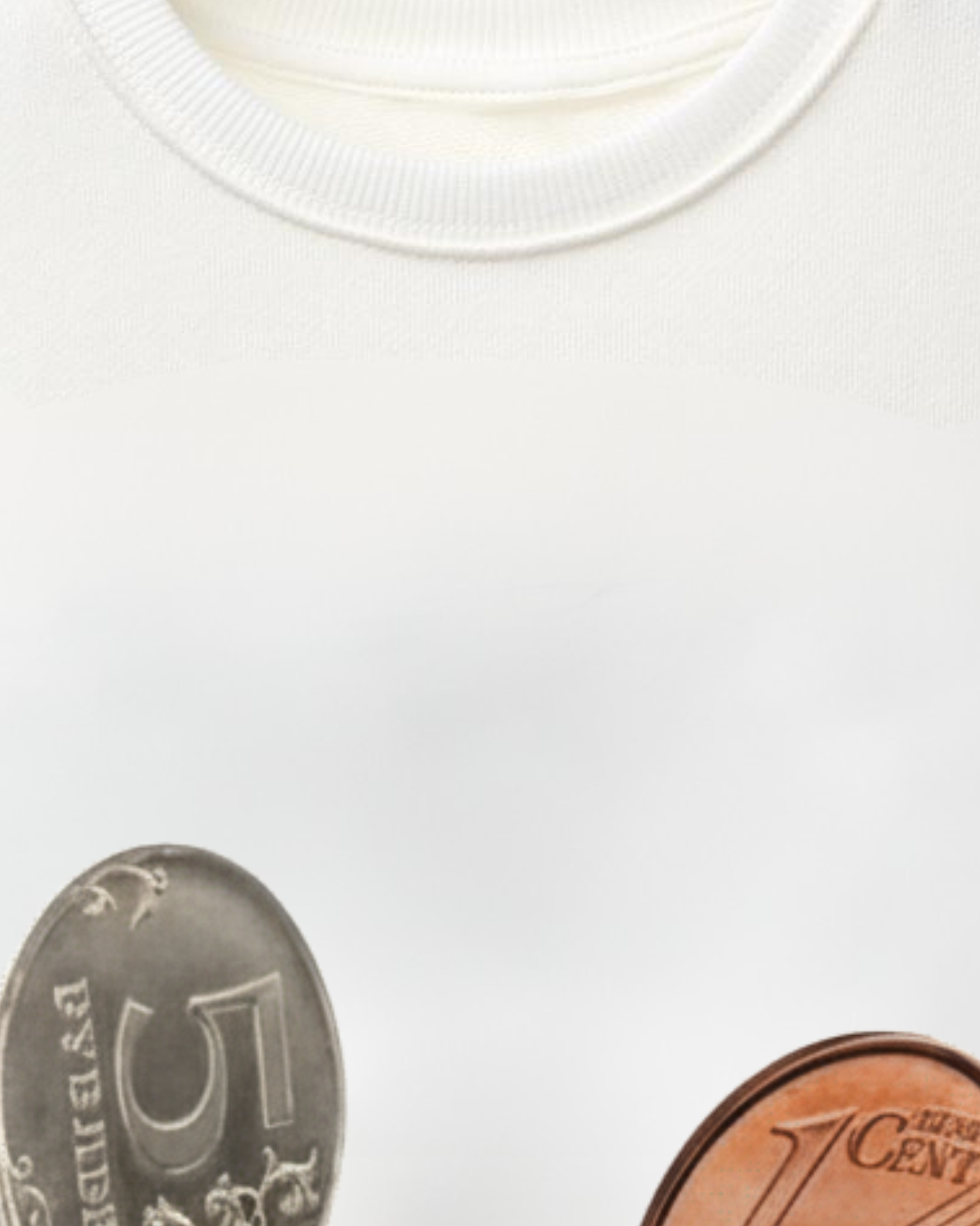 CATS AND CASH OVERSIZED PREMIUM SWEATSHIRT